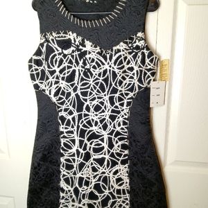 NWT Paparazzi by Biz Dress M  Wool Blend Black Cream Sheath Embroidered Heavy